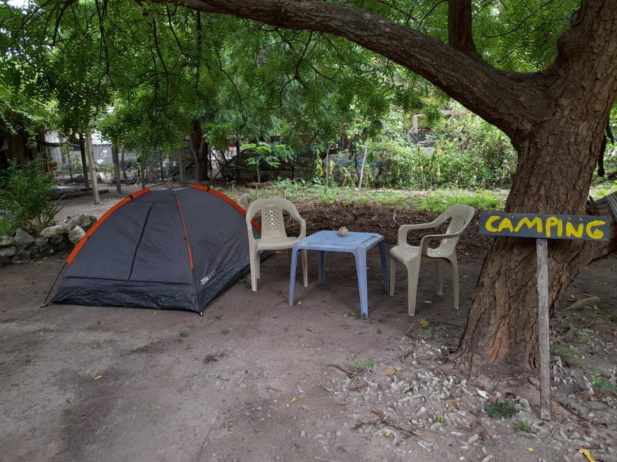 Ecohotel Arte Y Aventura إيسلا غراندي المظهر الخارجي الصورة